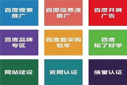 数据分析助力信息流广告：某品牌成功案例揭秘